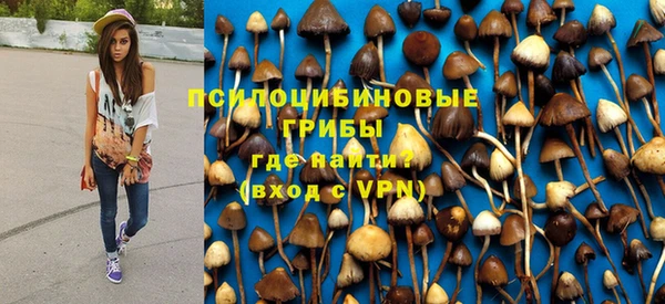 шишки Верхний Тагил