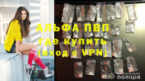 шишки Верхний Тагил