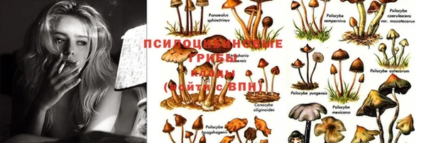 гидропоника Верхнеуральск