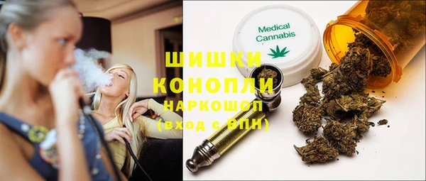шишки Верхний Тагил