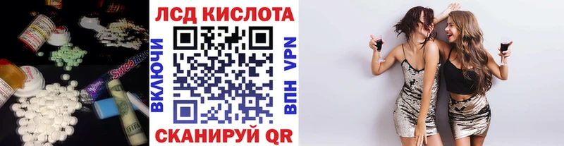 Купить закладки  Заводоуковск  Лсд 25 экстази кислота 