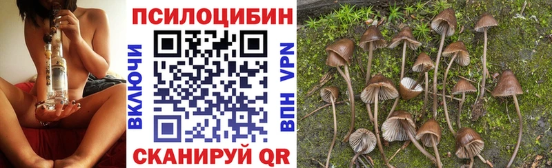 Псилоцибиновые грибы ЛСД  Купить  Заводоуковск 