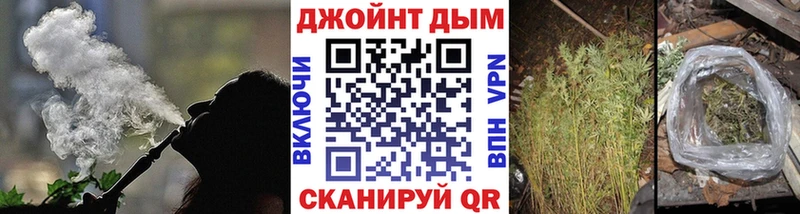 Каннабис гибрид  Купить закладки  Заводоуковск 